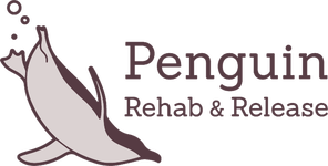 Penguin Rehab & Release